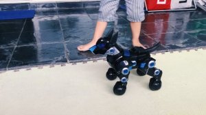 Toy Review! Robot Dog by RASTAR Part 3/3