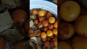 Сливы заготовка на зиму. Маринованные сливы с лавровым листом и гвоздикой