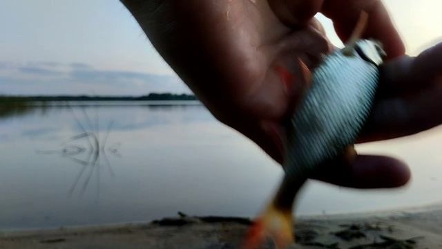 Рубрика ? Природа и рыбалка ⭐ Челнавское водохранилище!? Тамбовский район ? Атмосфера красоты ⭐
