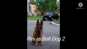 Balto (Bolt) cast video