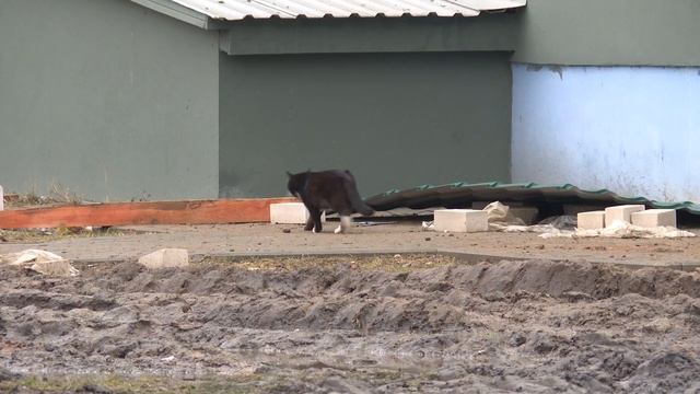 На капремонт жилфонда в Солигорском районе затратят порядка 7 млн. рублей смотреть онлайн