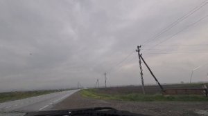 Спасли собаку из под колёс автомобилей