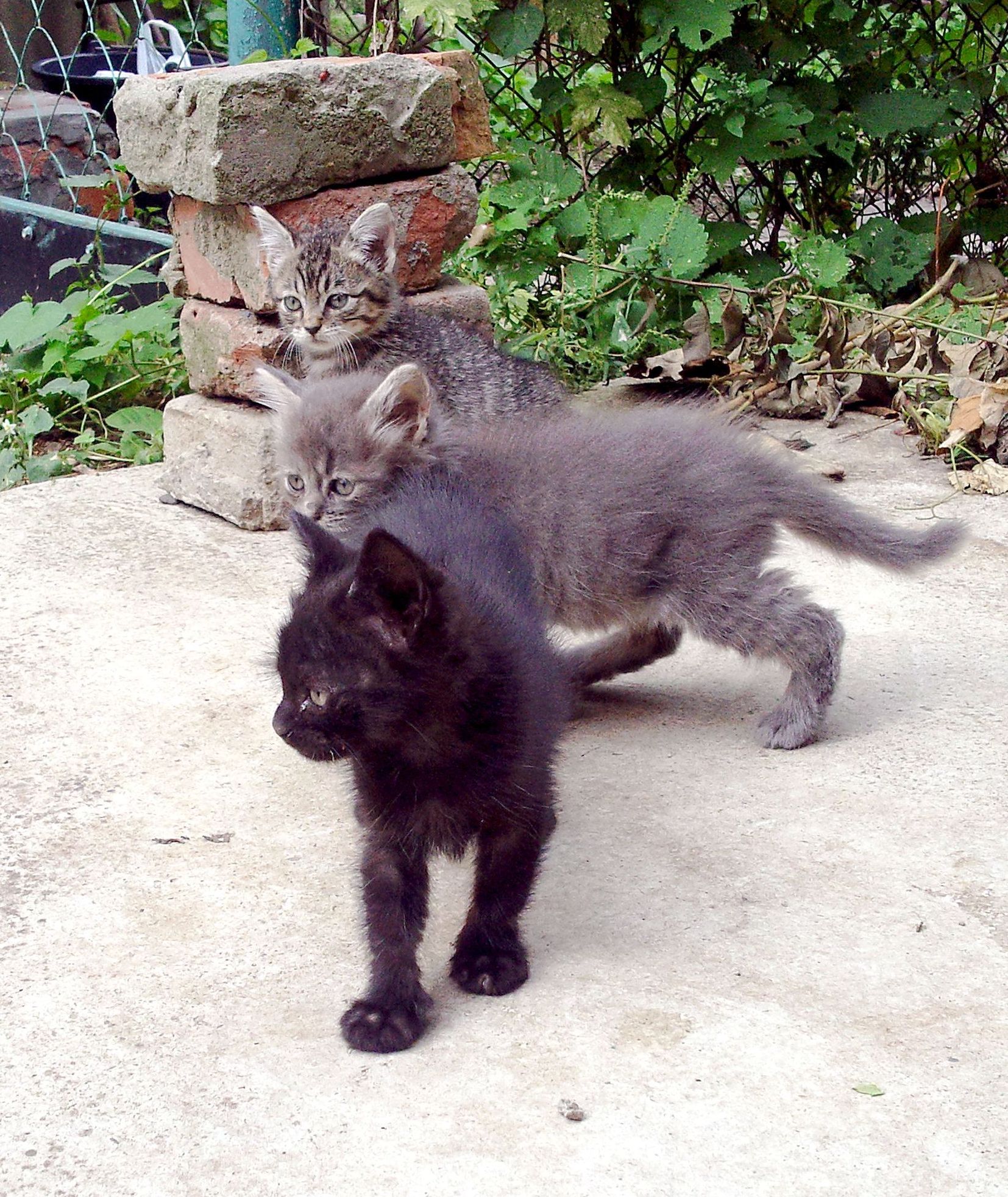 Подкидыши 2021-2022 смотреть онлайн