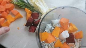 Чем можно кормить перепелов. Овощи для перепелов.морковь, тыква,свекла,яичная скорлупа для перепело