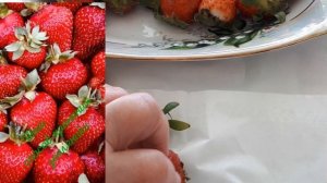 Как мы сохраняем свежую клубнику.