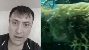 хидирназар аллакулов