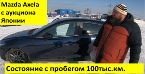 petal_20240303_235040