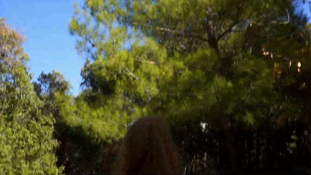 LOST CITY IN THE MOUNTAINS! TERMESSOS - TURKEY смотреть онлайн