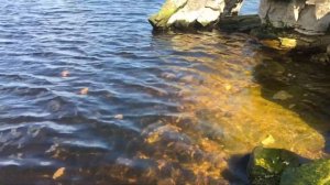 Где отдохнуть в Татарстане?  Камское устье.  Гора Лобач. Камское море.