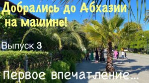 Добрались до Абхазии на машине. Первые впечатления...