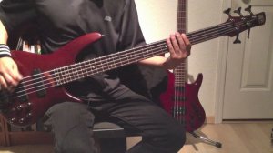 Sick Puppies | You're Going Down [Bass Cover]
