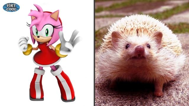 Sonic the Hedgehog in Real Life! Main Characters смотреть онлайн