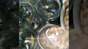 Вкусные, маринованные шампиньоны на зиму?