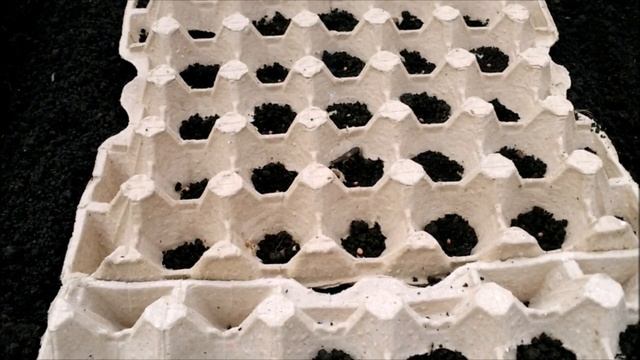 ПОСАДКА РЕДИСА В ТЕПЛИЦЕ смотреть онлайн