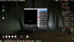 Паром TV-бесплатное ТВ приложение в Linux.