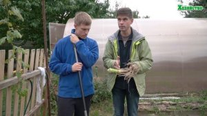 Осторожно!!! Кила капусты! Что можно и чего нельзя делать?