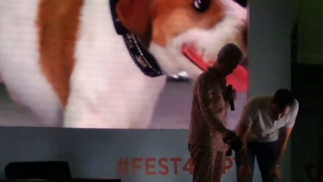 Посещение фестиваля Четыре лапы и Блоггер шоу!