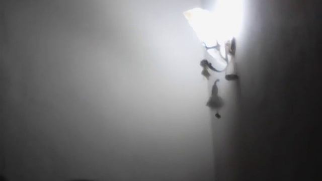 Настоящая саранча?????? ???