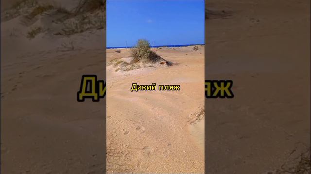 Дикий пляж в Витязево