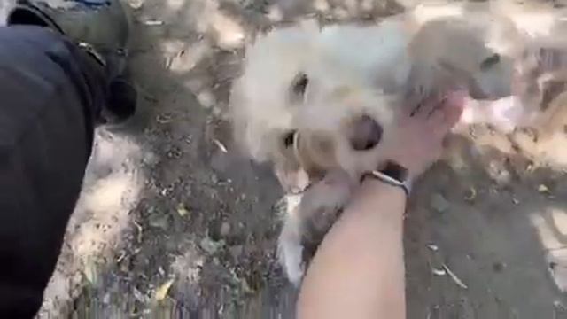 Magnolia 23 0726 vid001 смотреть онлайн