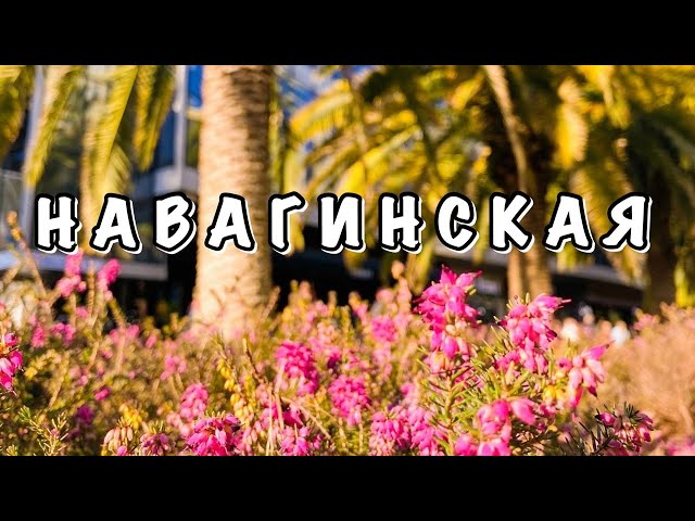 #8 НАБЕРЕЖНАЯ СОЧИ ЗИМОЙ || НАВАГИНСКАЯ И МОРПОРТ