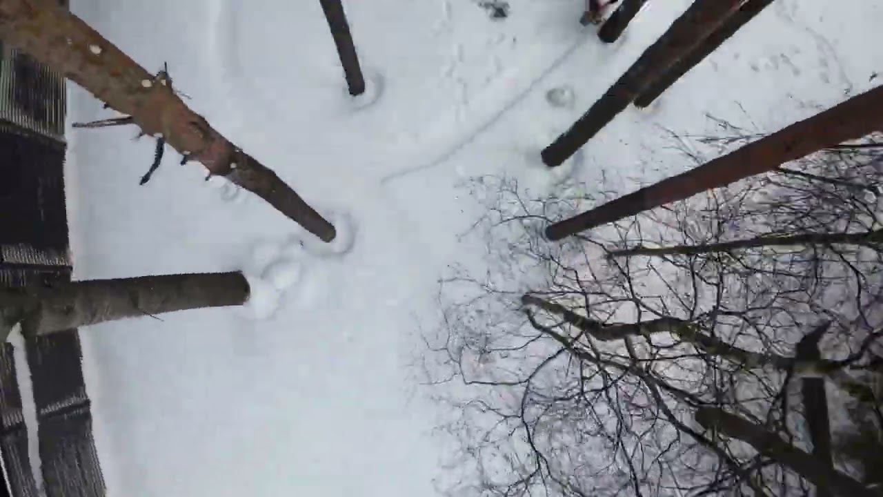 как то так седни...