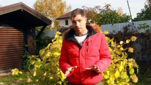 ЧТО ДОРОЖЕ!? Дом из контейнеров или КАРКАСНИК!?