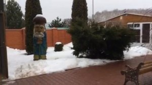 Голуби в Подольске