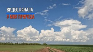 Природа Облака Таймлапс