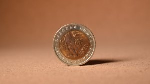 10 рублей 1992 - Амурский тигр. Редкие монеты России