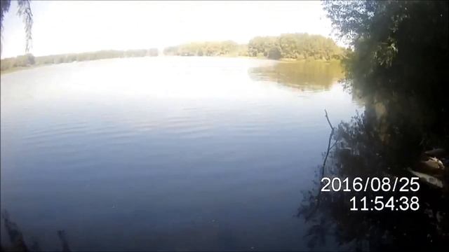 Рыбоохрана. река Сакмара-гибель рыбы. смотреть онлайн