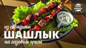 Шашлык из говядины на гриле (рецепт для газового гриля)