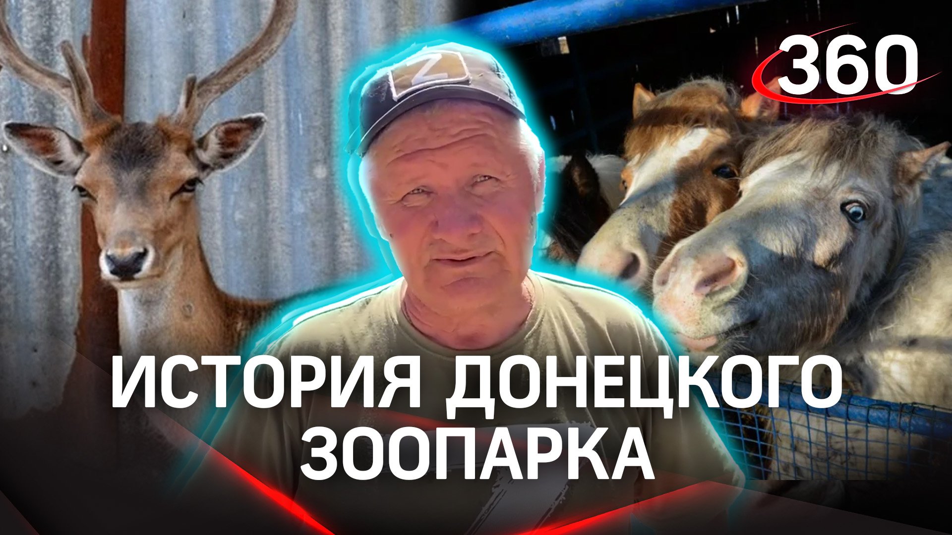 Работает даже в такое тяжелое время: самый большой зоопарк в ДНР