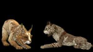 страшилка когти WildCraft