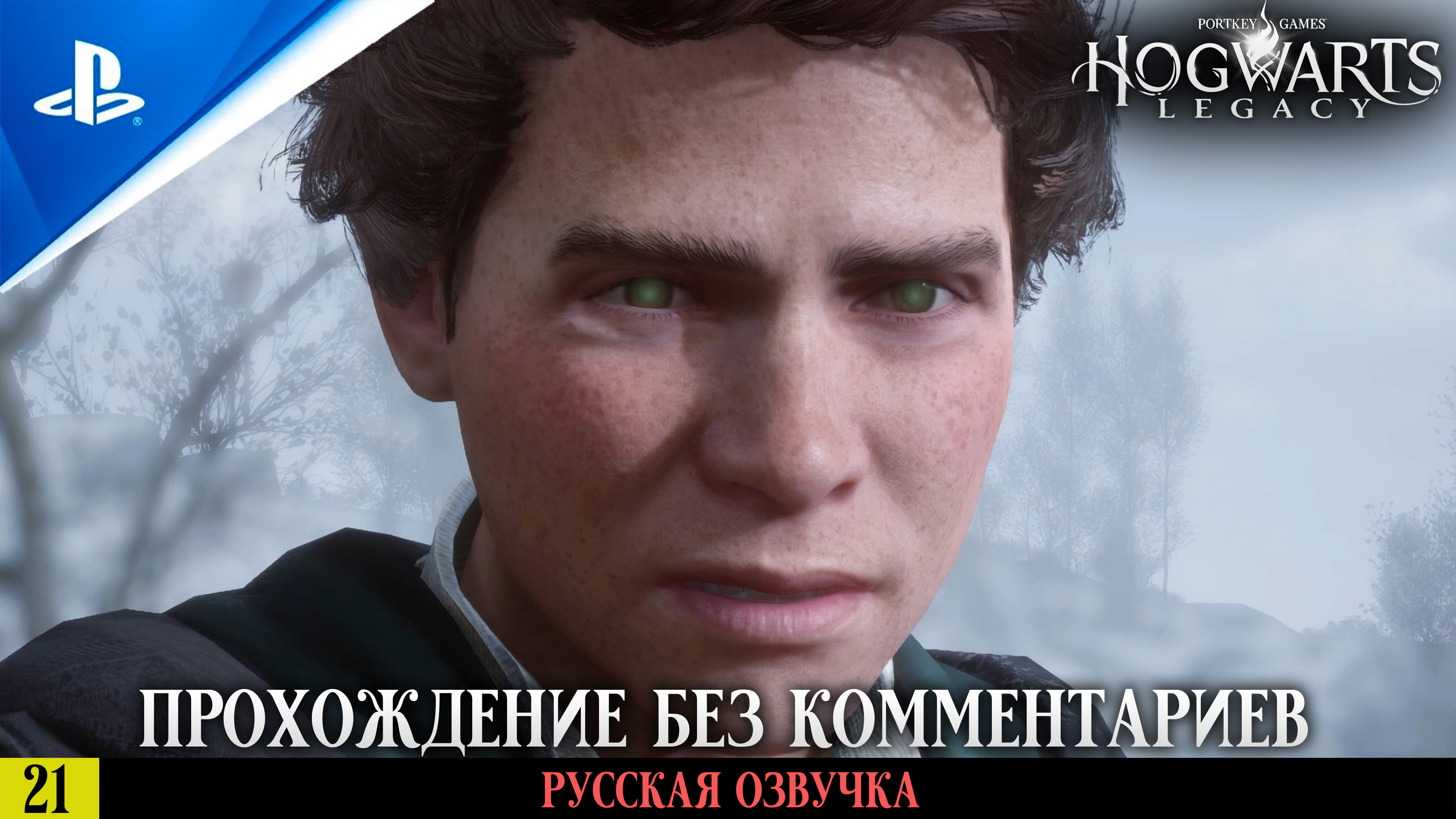 «В ТЕНИ ВРЕМЕНИ» ✪ РУССКАЯ ОЗВУЧКА - Hogwarts Legacy 🏆 Прохождение Без Комментариев — Часть 21