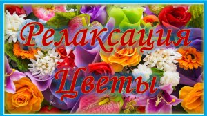 Радужная релаксация. Цветы