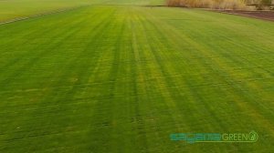 Рулонный газон в Самаре. Видео с поля производителя - Sagama Green