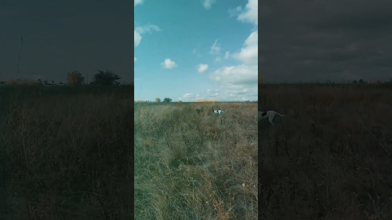 Тот момент когда все остальное - суета! смотреть онлайн