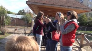 Жираф. Ростовский зоопарк.