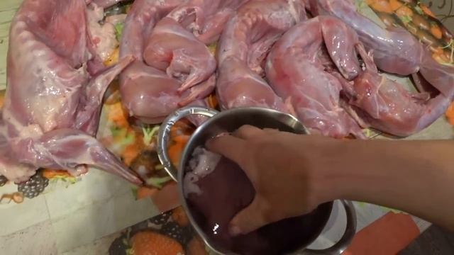 Сколько получилось мяса из 7 тушек КРОЛИКОВ смотреть онлайн