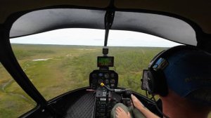 Robinson R66