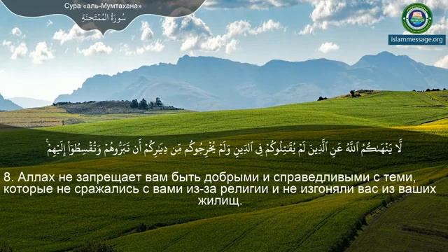 60. _Сура_ ❤️Аль-Мумтахана❤️ Мишари Рашид смотреть онлайн