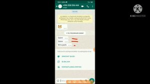 WhatsAppda ochib ketgan smslarni tiklash 2021