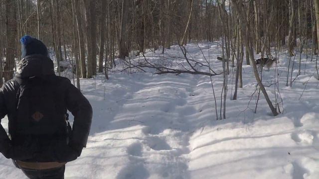 Ладожское озеро,поход на озеро Озерко