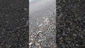 Крутогорово Камчатка