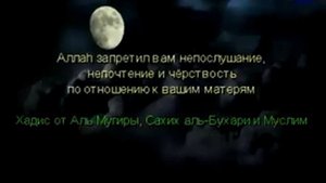 Отношение к родителям в ИСЛАМЕ