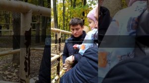 Видео Колибри арт (Colibri art) - Экопарк Фельдмана Харьков, зоопарк в харькове 2021