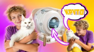ОБЗОР НА УМНЫЙ ЛОТОК 🚽🐈 ДЛЯ КОШЕК. ОЧИЩАЕТСЯ САМ. Фирма: PAWBBY
