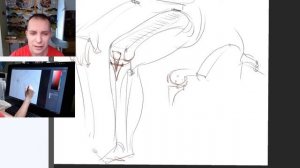 Бедро, голень, стопа / Видеокурс /Пластическая анатомия - А. Рыжкин