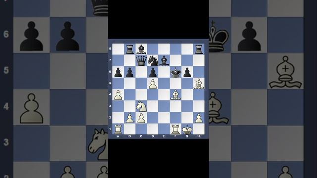 Excellent academy chess class middle game